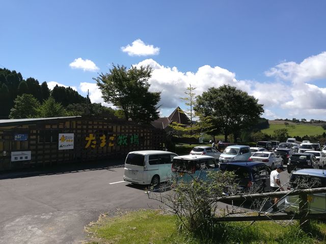 霧島たまご牧場