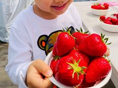 ミキさんのストロベリーヴィレッジこうざきへの投稿写真1