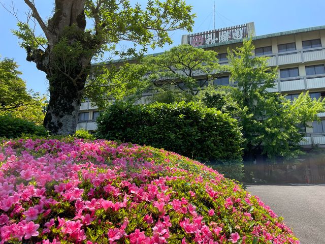 綺麗なツツジ_茶心の宿 和楽園
