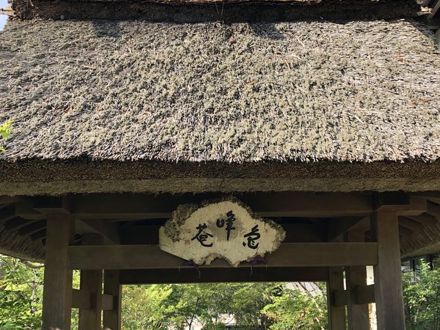 入り口で茅葺きの門が迎えてくれます。_すみや亀峰菴