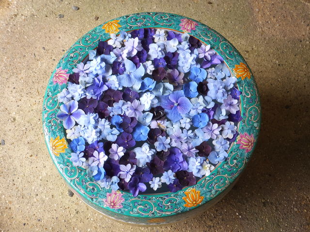 受付横の花手水_一条恵観山荘