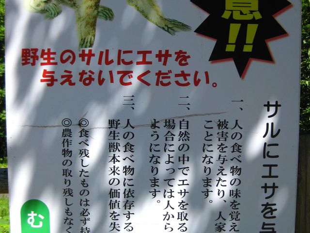 猿に餌をあげてはいけない!看板。_奥薬研温泉郷