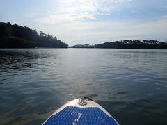 いーしさんの野遊への投稿写真1