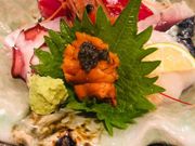 tadaさんの廉の投稿写真2