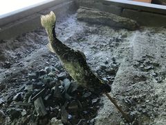 三依渓流つり場の写真1