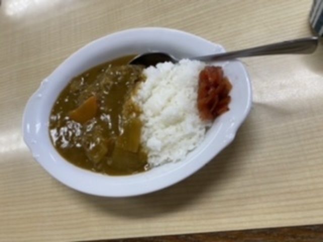 カレーライス_殿田