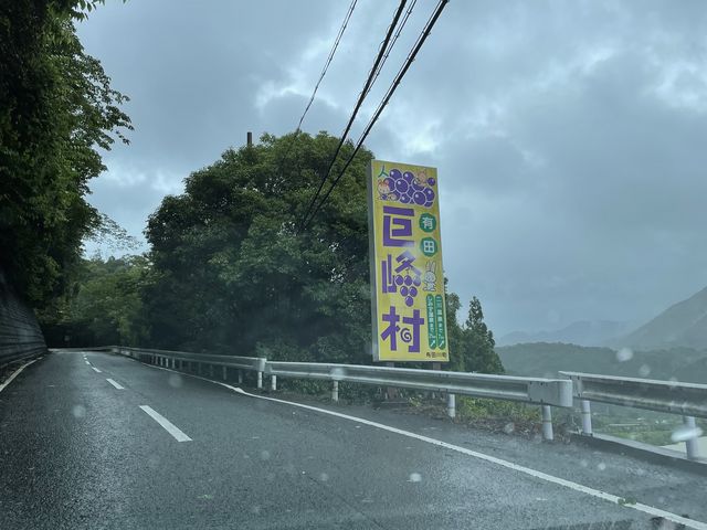 巨峰村_有田巨峰村 まる太農園