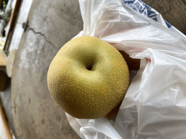 梨_有田巨峰村 まる太農園