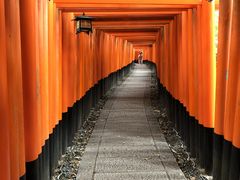 伏見稲荷大社の写真1