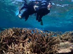 Tiaraさんの八重干瀬マリンハート宮古島への投稿写真1