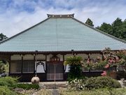 たっちゃんさんの善勝寺の楠の投稿写真2