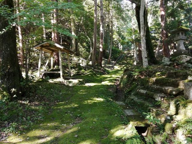 参道2_馬居寺