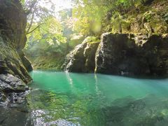 くまの・川遊び部の写真1