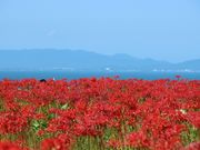 章男君さんの上淀廃寺跡の投稿写真2