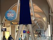 ウッキーさんのナナちゃん人形の投稿写真1