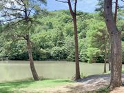 いっせいさんのキャンプ&コテージ フォレスタ広島の投稿写真1