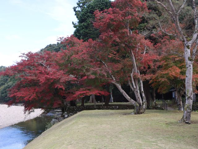 安芸高田市
唯称庵の跡地
紅葉_唯称庵楓林