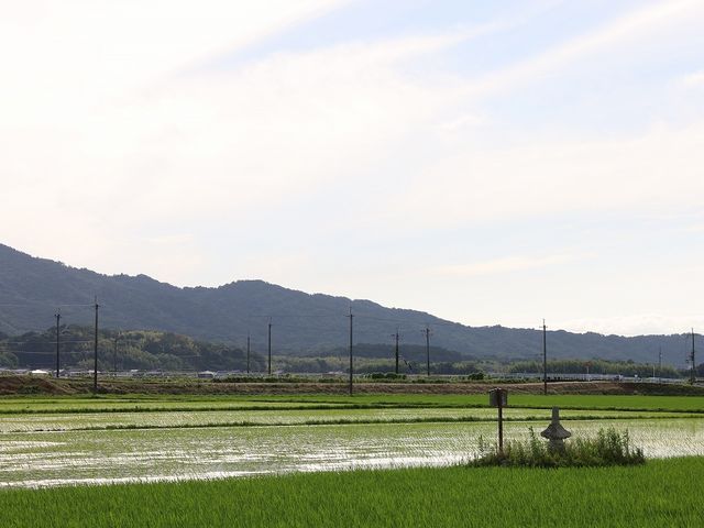 八幡神社の境内から少し離れた田の中にあります。_八幡神社宝塔