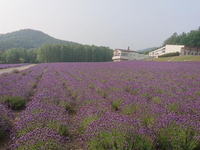 ハイランドふらの