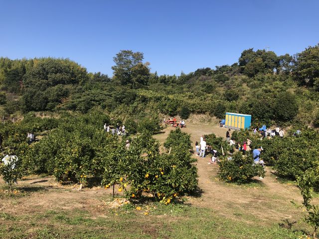 簡易トイレもあり_やぶ果樹園