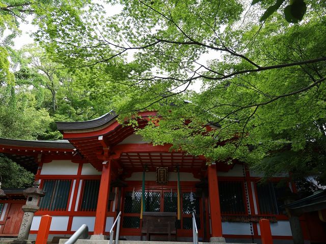 拝殿。_瑜伽神社