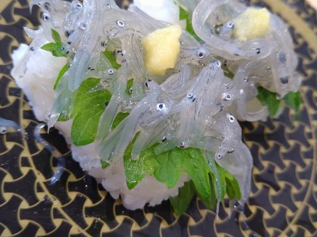 生しらす_はま寿司 鹿嶋佐田店