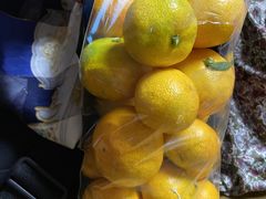 FRUIT PARK YOKOHAMA 芝口果樹園の写真1