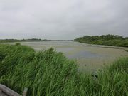 りゅうさんの幌延ビジターセンターの投稿写真1