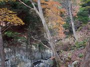 あきぼうさんの巣栗渓谷の投稿写真3