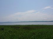 りゅうさんの龍宮街道の投稿写真1