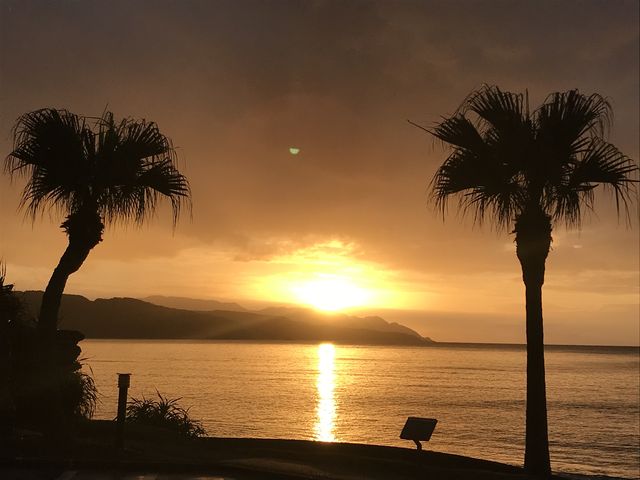 駐車場から_大浜海浜公園