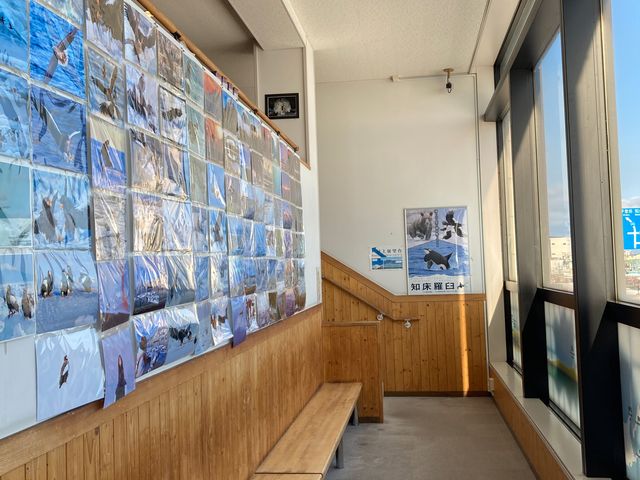 道の駅 知床・らうす_道の駅 知床・らうす