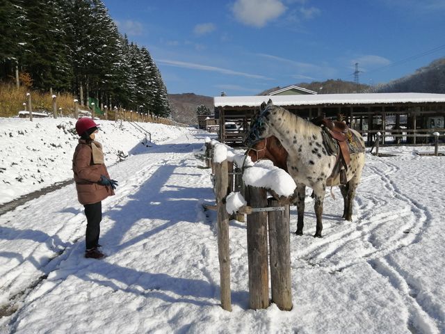 体験の前、お馬さんにごあいさつ_函館どさんこファーム