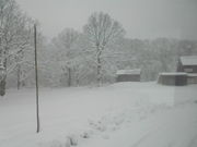 トシローさんの八甲田の投稿写真1