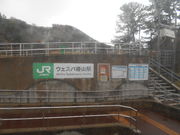 トシローさんの椿山の投稿写真1