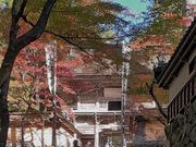 こぼらさんの横蔵寺の紅葉の投稿写真3