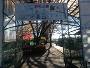 ひーちゃんさんの昭和公園の投稿写真2