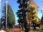 ひーちゃんさんの昭和公園の投稿写真3
