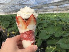 まこあやさんのむらちゃん農園への投稿写真1