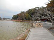 トシローさんの深田池の投稿写真1