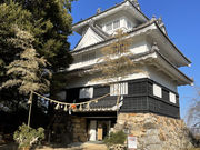 マリアさんの豊橋公園のイスノキの投稿写真1