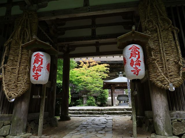 無病息災を祈る大草鞋。_金剛輪寺 二天門