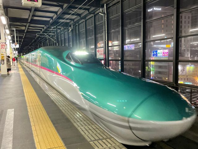 新幹線でやってきました!_盛岡駅