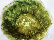 angelさんの大見陶芸教室の投稿写真1