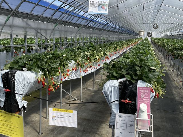 7種類食べ比べがオススメ!_Berry Farm TETRA