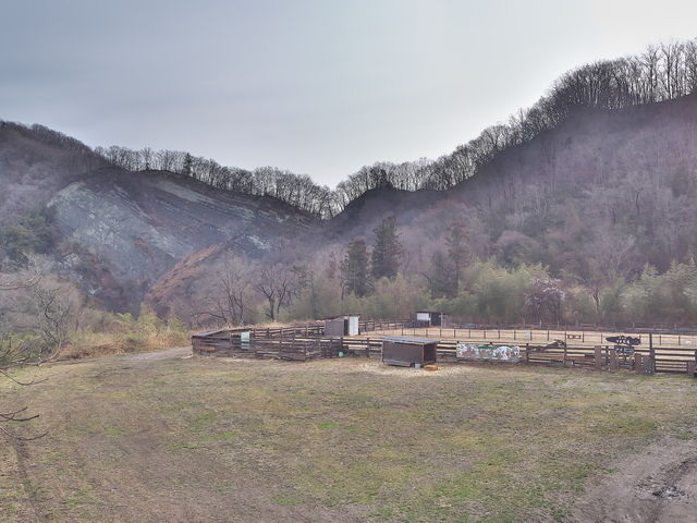 sklfhさんのようばけの投稿写真1