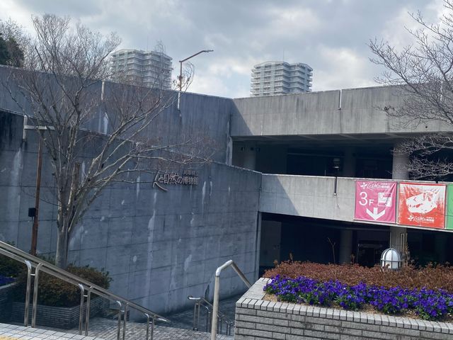 施設内に建物がいくつかあり少し迷いましたが案内していただいたので良かったです。_兵庫県立人と自然の博物館