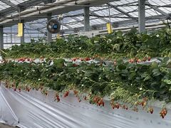 陽だまり農園の写真1