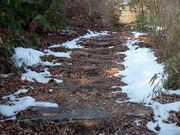 トシさんの観音正寺の投稿写真2