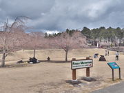 sklfhさんの富士山樹空の森の投稿写真1